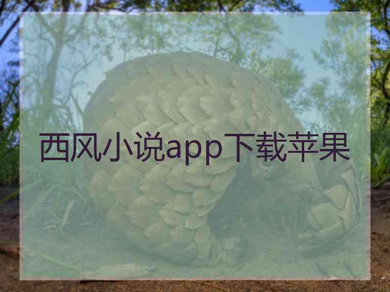 西风小说app下载苹果