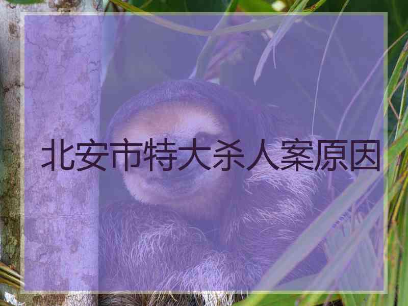 北安市特大杀人案原因