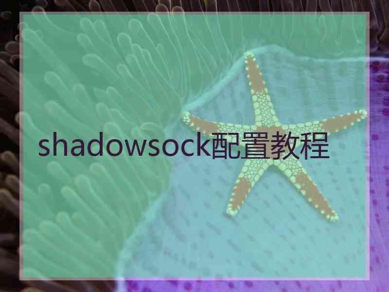 shadowsock配置教程