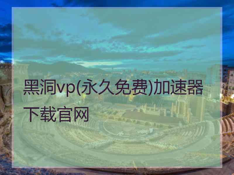 黑洞vp(永久免费)加速器下载官网