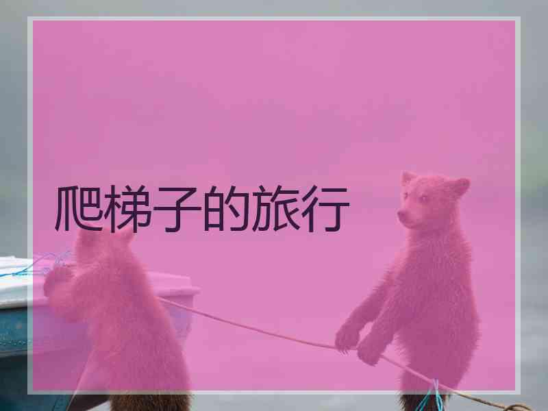 爬梯子的旅行