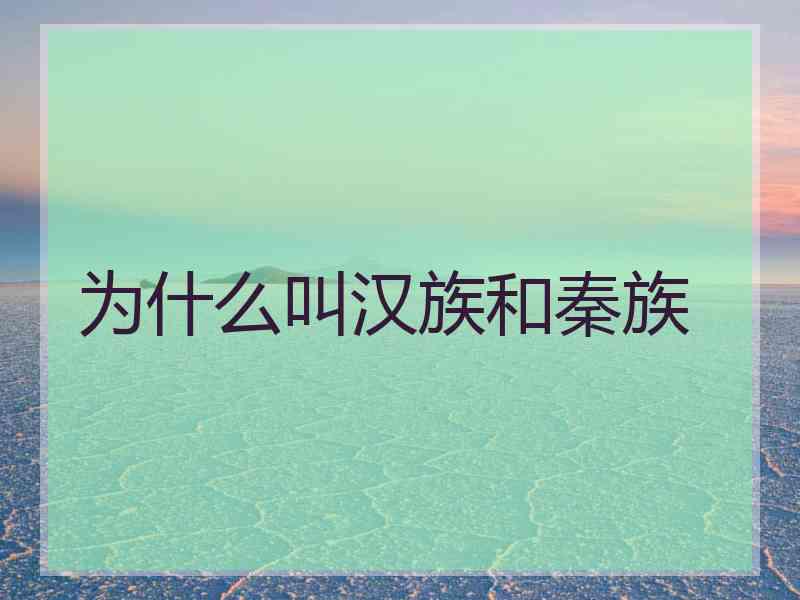 为什么叫汉族和秦族