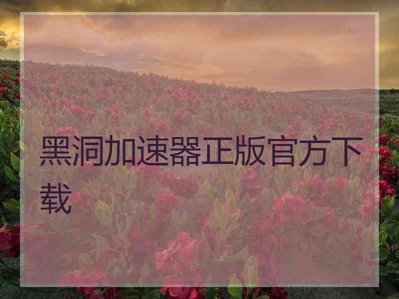 黑洞加速器正版官方下载