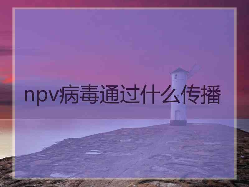 npv病毒通过什么传播