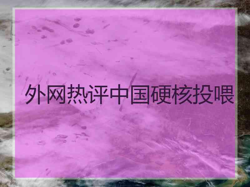 外网热评中国硬核投喂