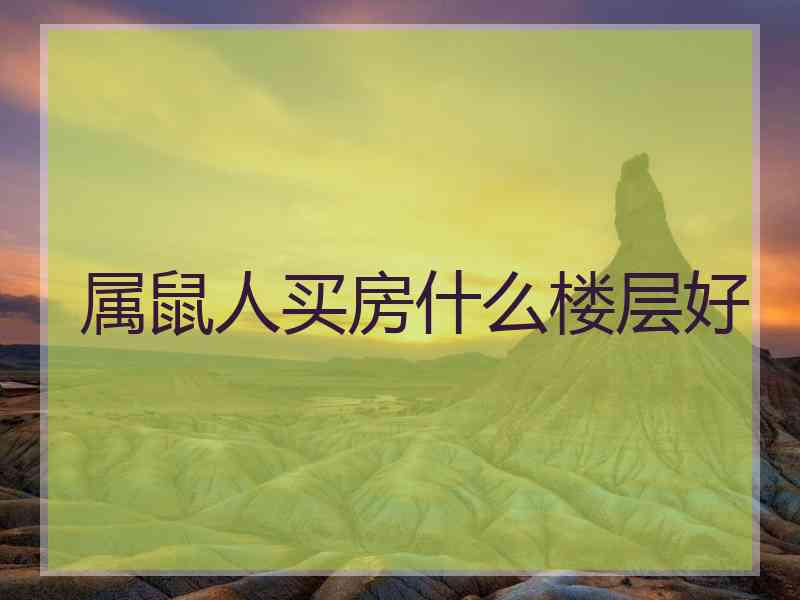 属鼠人买房什么楼层好