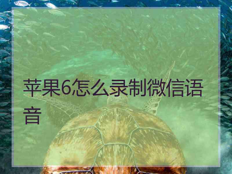 苹果6怎么录制微信语音