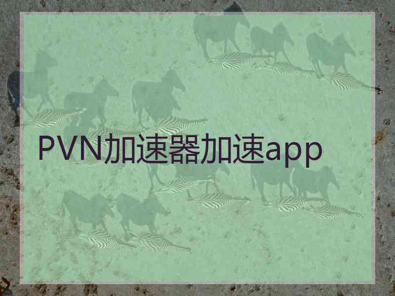 PVN加速器加速app