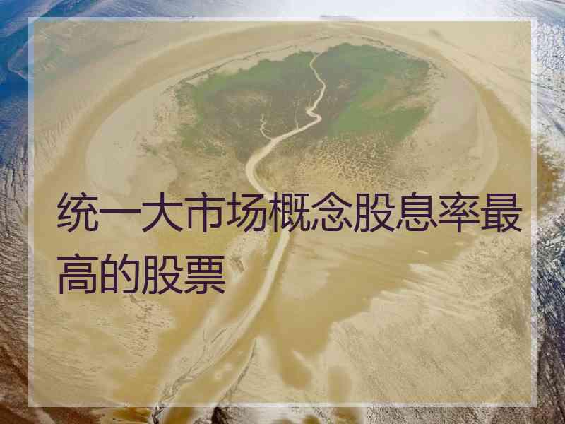 统一大市场概念股息率最高的股票