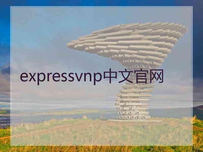 expressvnp中文官网