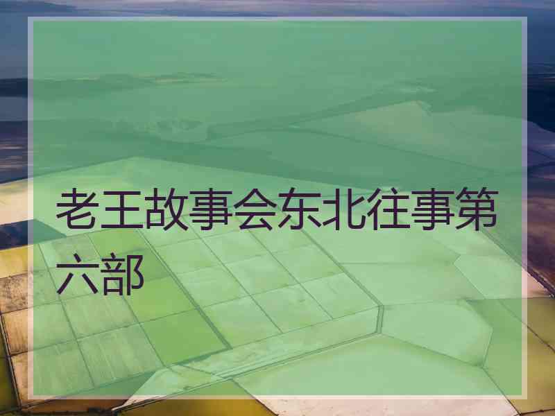 老王故事会东北往事第六部