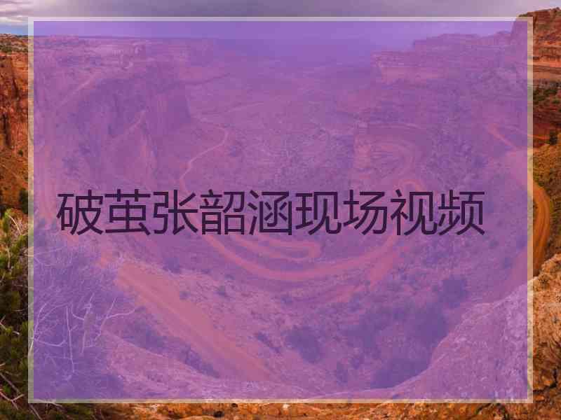 破茧张韶涵现场视频