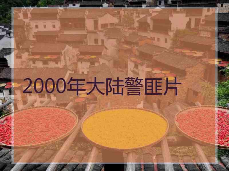 2000年大陆警匪片