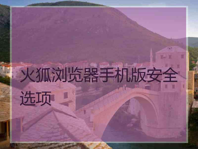 火狐浏览器手机版安全选项