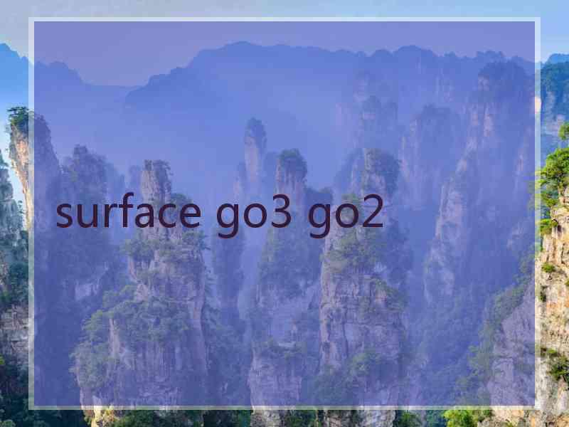 surface go3 go2