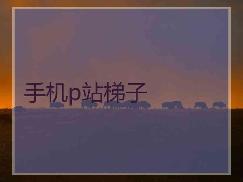 手机p站梯子