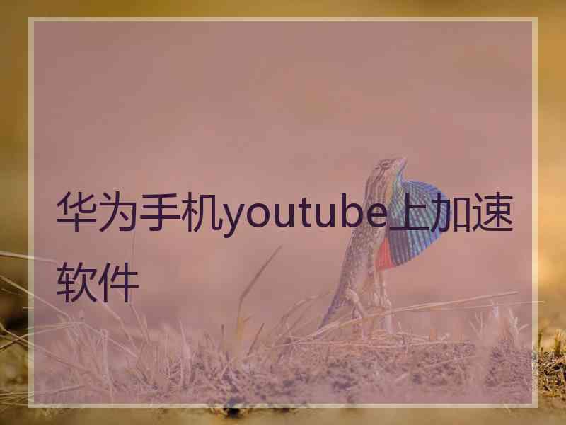 华为手机youtube上加速软件