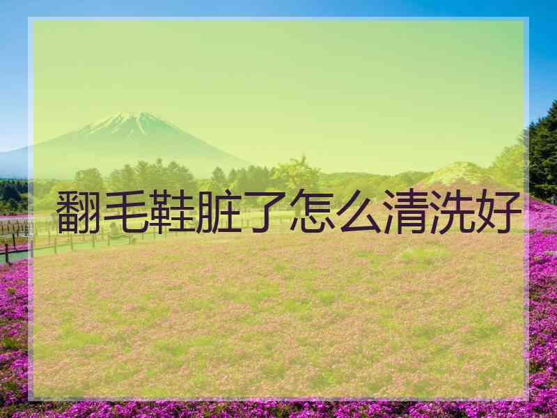 翻毛鞋脏了怎么清洗好