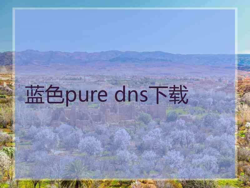 蓝色pure dns下载