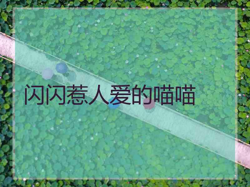 闪闪惹人爱的喵喵