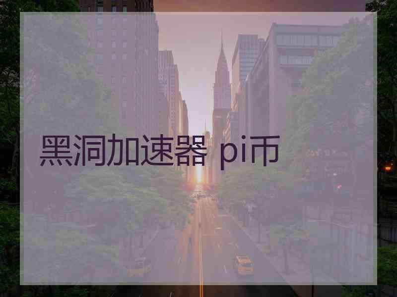 黑洞加速器 pi币