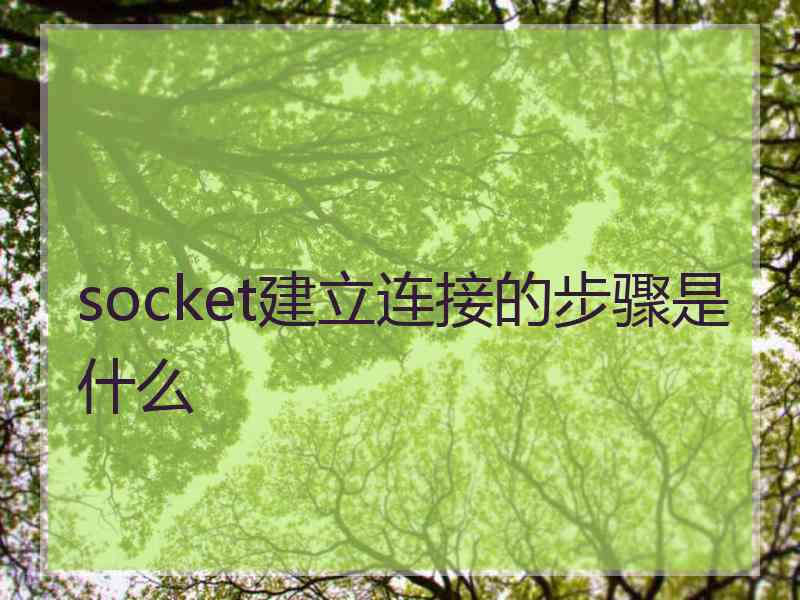 socket建立连接的步骤是什么