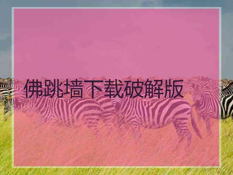 佛跳墙下载破解版