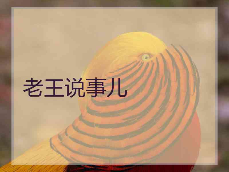 老王说事儿