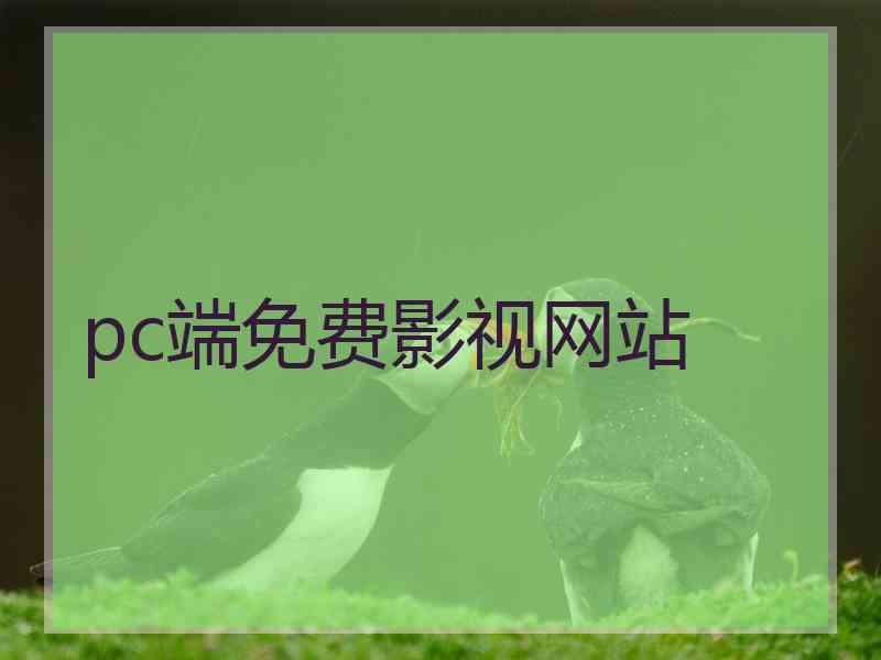 pc端免费影视网站