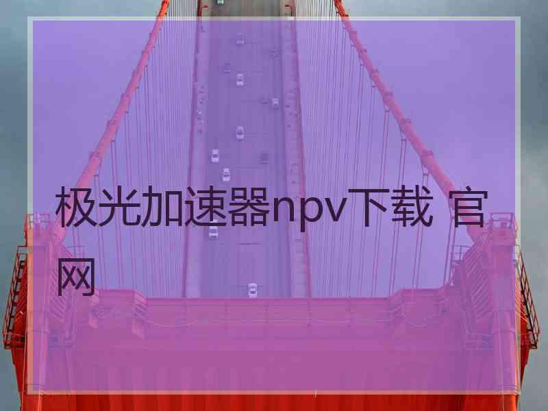 极光加速器npv下载 官网