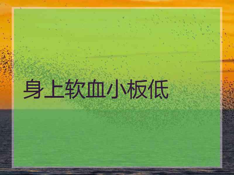 身上软血小板低