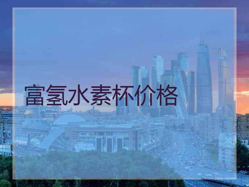 富氢水素杯价格