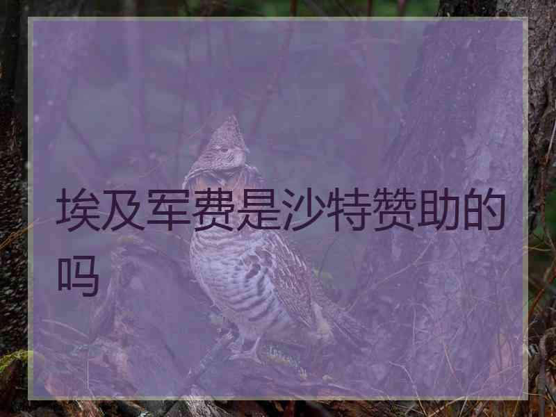 埃及军费是沙特赞助的吗