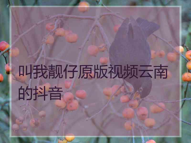 叫我靓仔原版视频云南的抖音