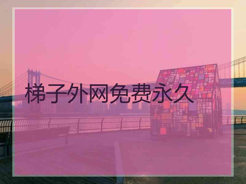 梯子外网免费永久