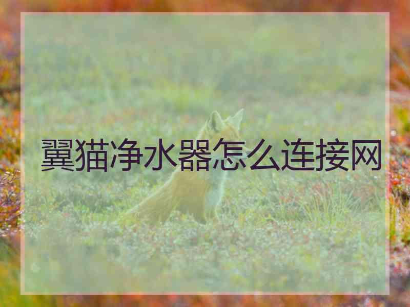 翼猫净水器怎么连接网