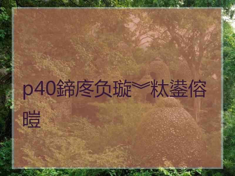 p40鍗庝负璇︾粏鍙傛暟