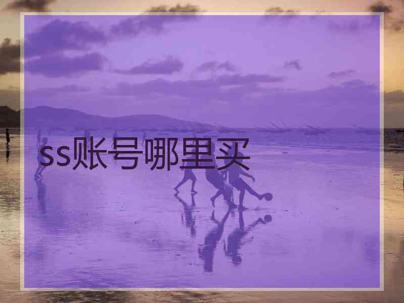 ss账号哪里买
