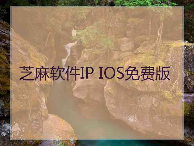 芝麻软件IP IOS免费版
