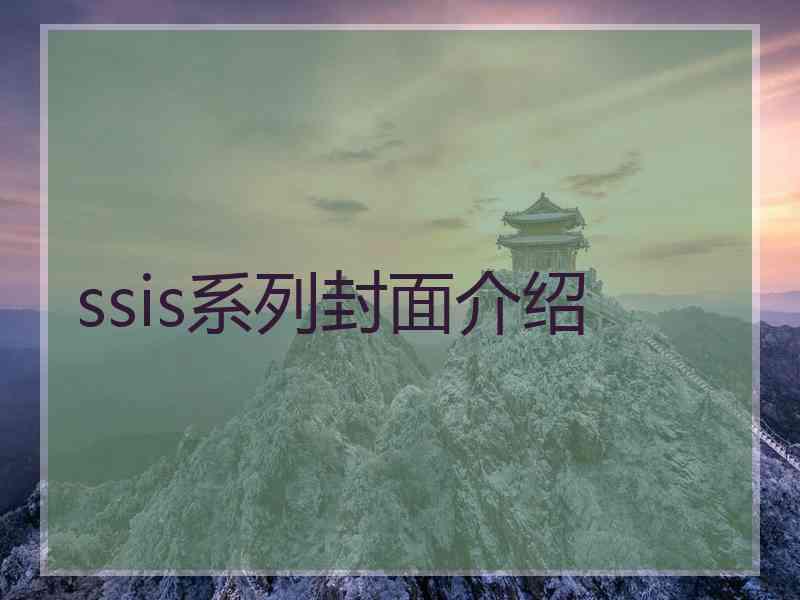 ssis系列封面介绍