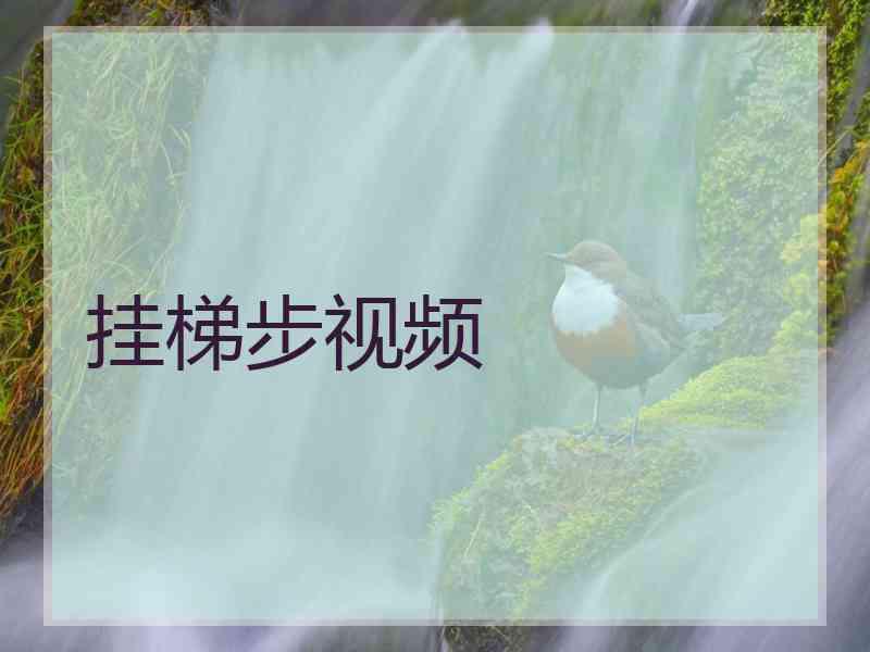 挂梯步视频