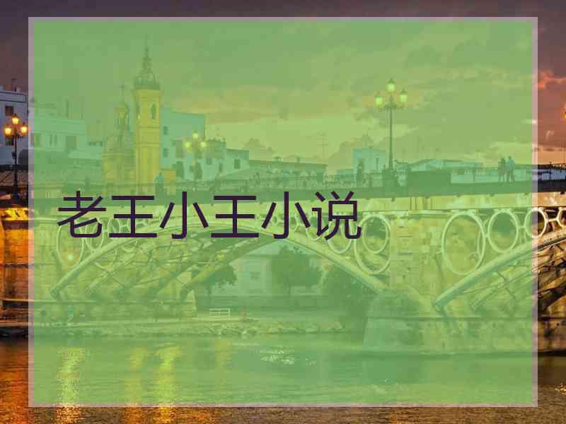 老王小王小说