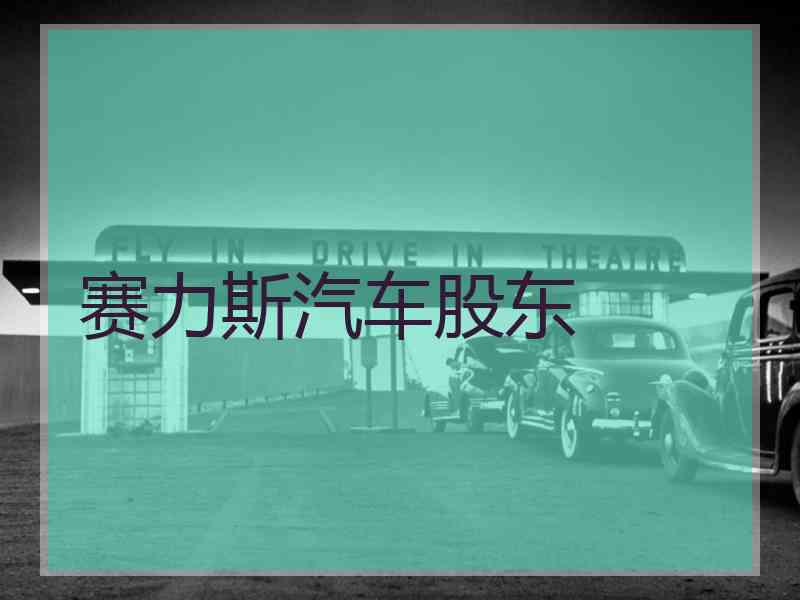 赛力斯汽车股东