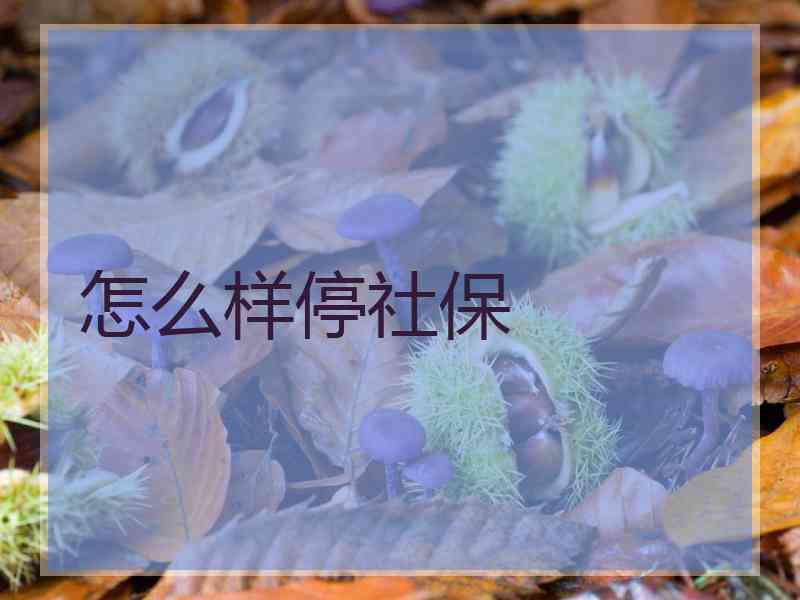 怎么样停社保