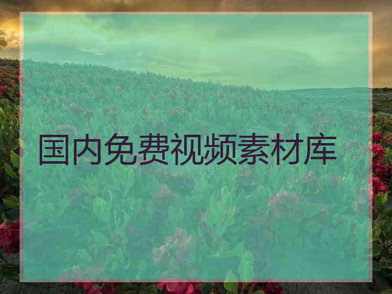 国内免费视频素材库