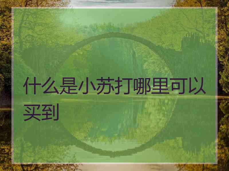 什么是小苏打哪里可以买到