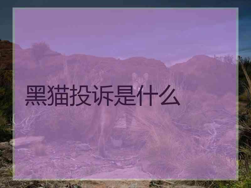 黑猫投诉是什么