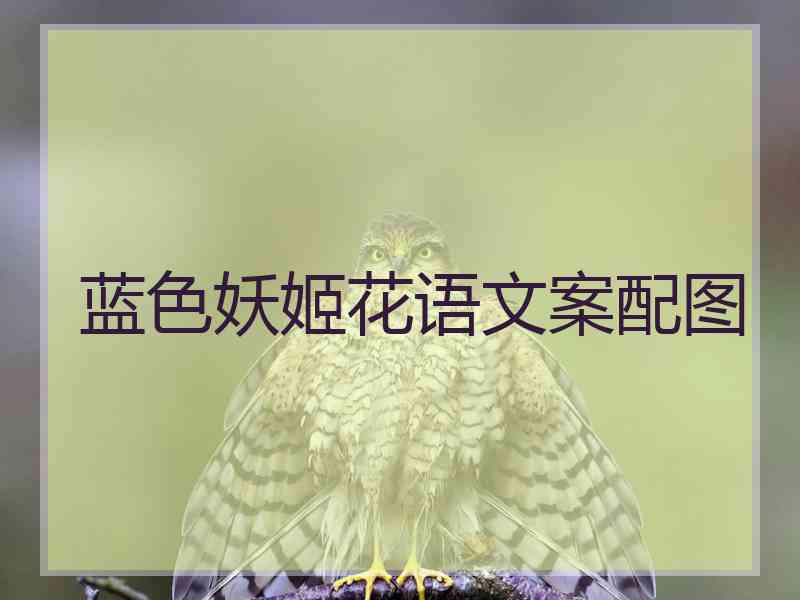 蓝色妖姬花语文案配图