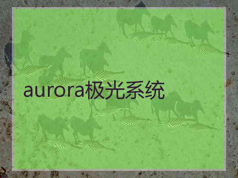 aurora极光系统
