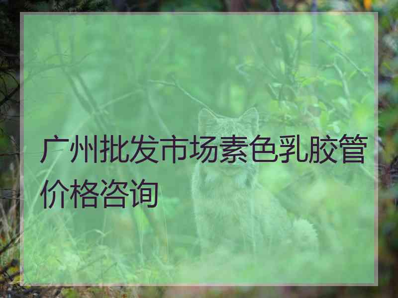 广州批发市场素色乳胶管价格咨询